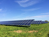 Solar Panels in Field